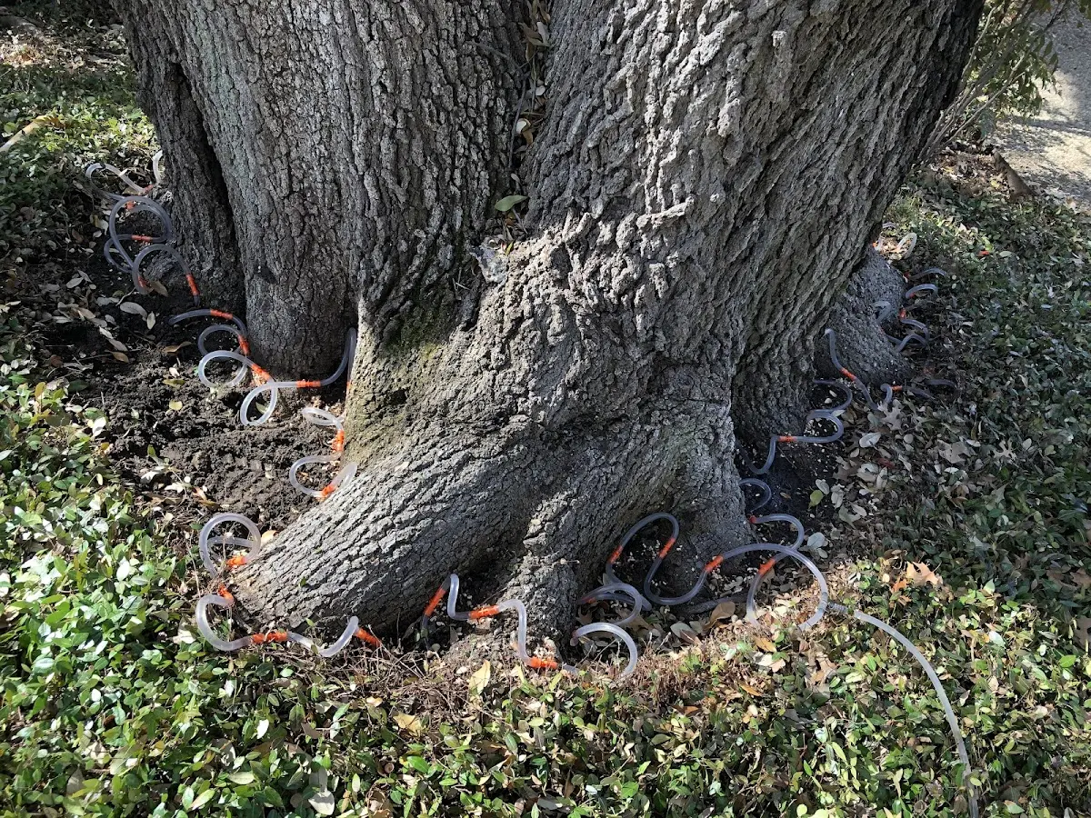 Detailed Shrub and Hedge Trimming job site in Luck